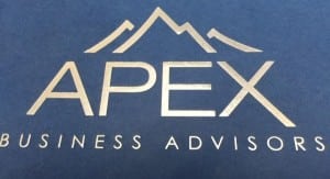 Apex silver logo