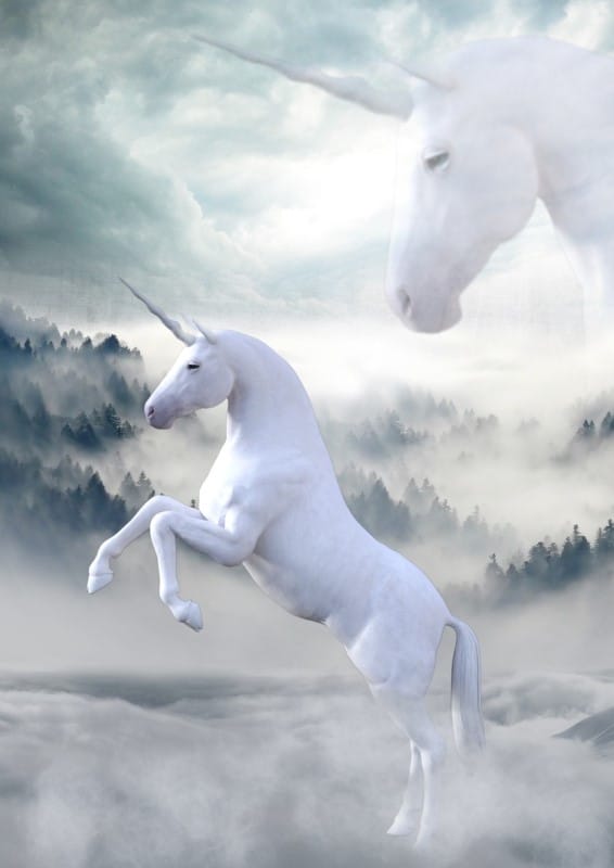 What Do Absentee-Owner Businesses and Unicorns Have in Common?