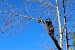 Removing Yourself from the Scaffolding