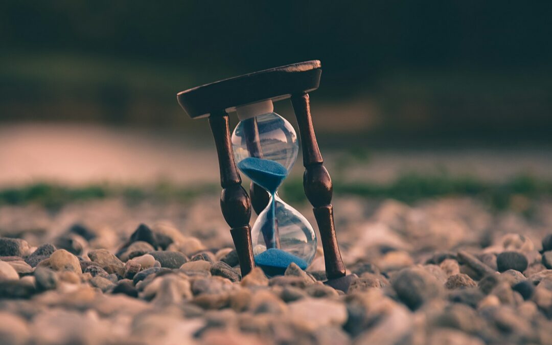 Planning for the 4 Ds in Business: Death, Disability, Dispute, and Divorce