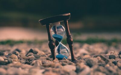Planning for the 4 Ds in Business: Death, Disability, Dispute, and Divorce